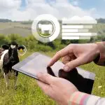 animaltracking
